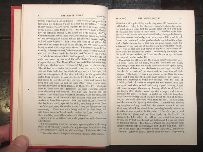 1844 - THE AMBER WITCH - WILHELM MEINHOLD, 1st - WITCH TRIALS WITCHCRAFT HOAXES
