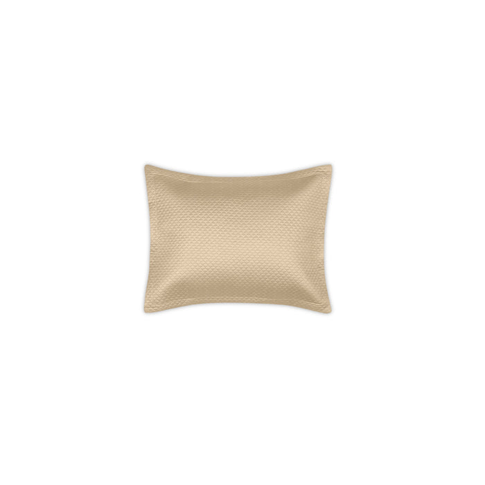 Champagne / Quilted Boudoir