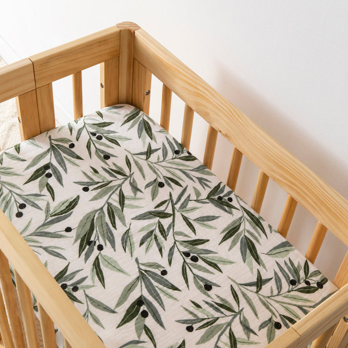 Olive Branches