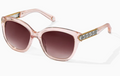 Brighton Intrigue Rosewater Sunglasses