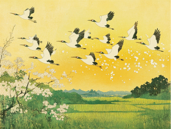 Flight Through Seasons