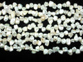 Fresh Water Pearl Beads, White with AB, Top drilled, Keshi-BeadBasic