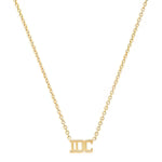 Gold Vermeil IDC Necklace