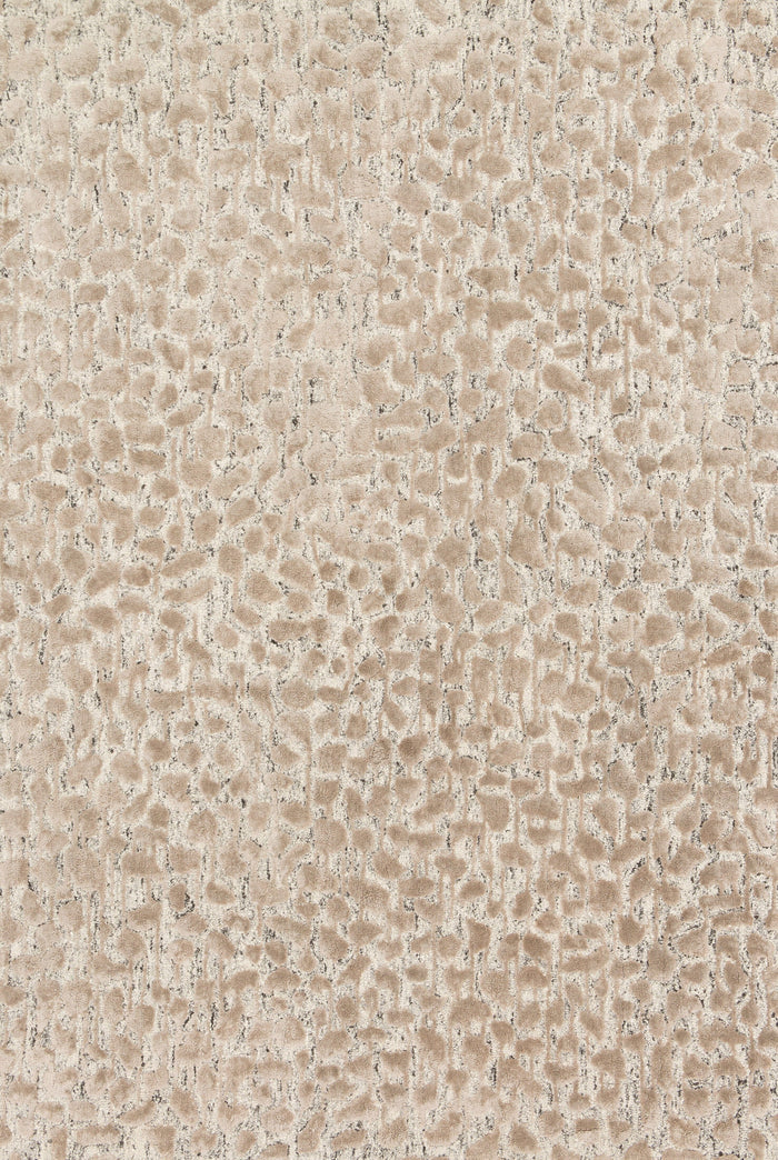 Loloi Juneau Rug | Ash / Taupe Loloi