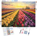 Sun-Kissed Tulip Festival