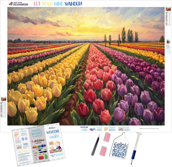 Sun-Kissed Tulip Festival