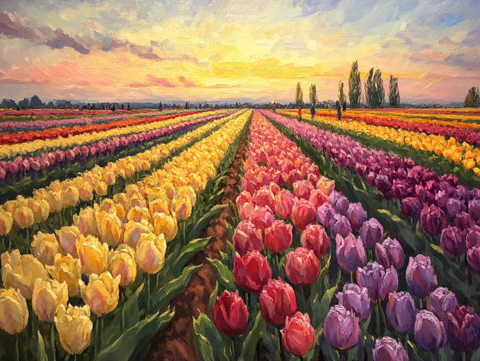 Sun-Kissed Tulip Festival