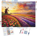 Sunset Over the Tulip Fields