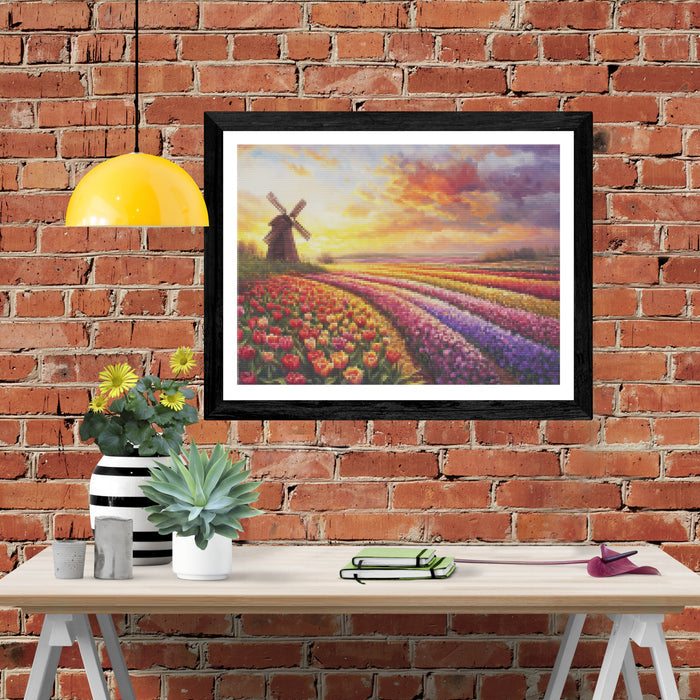 Sunset Over the Tulip Fields