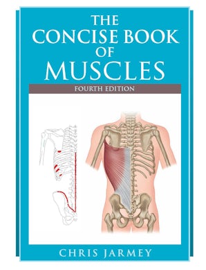 The Concise Book of Muscles