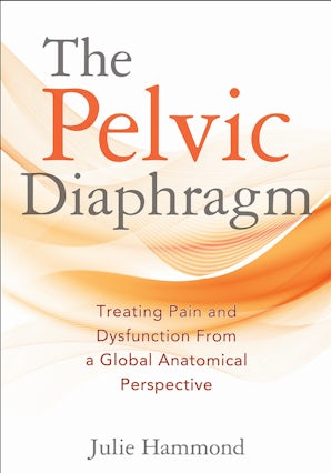 The Pelvic Diaphragm