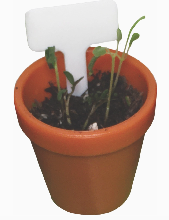 Tiny Gardening